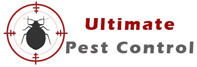 Pest Control Edmonton - Pest Exterminators, Bed Bugs Treatment, Mice ...